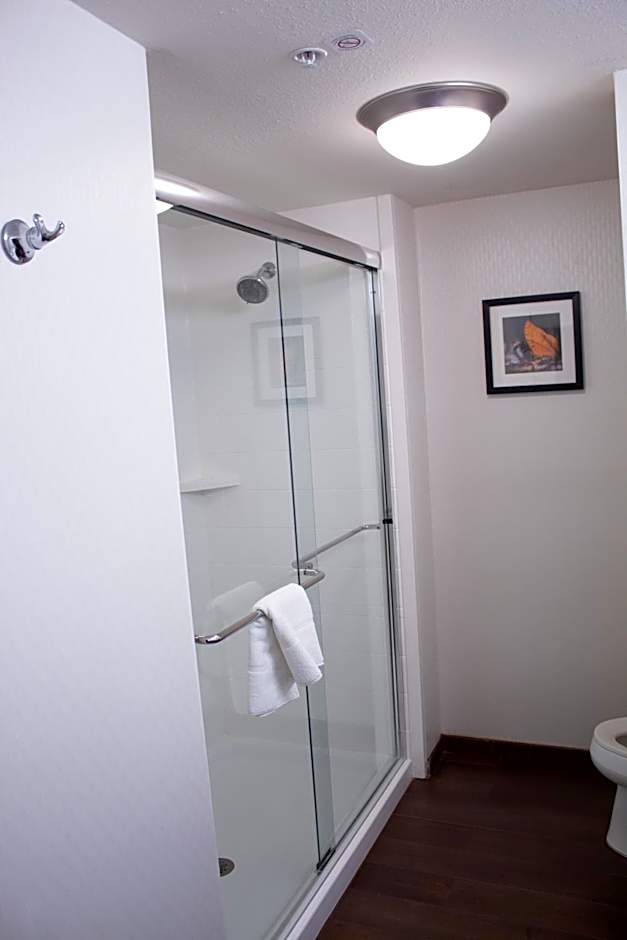 Hampton Inn By Hilton & Suites Big Rapids, Mi