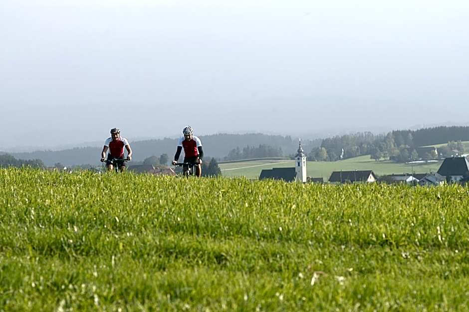 Hotel-Gasthof Beim Böckhiasl