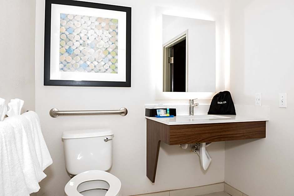 Holiday Inn Express Hotel & Suites Tampa-USF-Busch Gardens By IHG