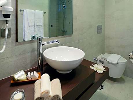 Superior Double Room with Garden View