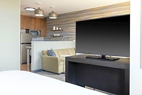 King Studio with Sofa Bed and Mountain View
