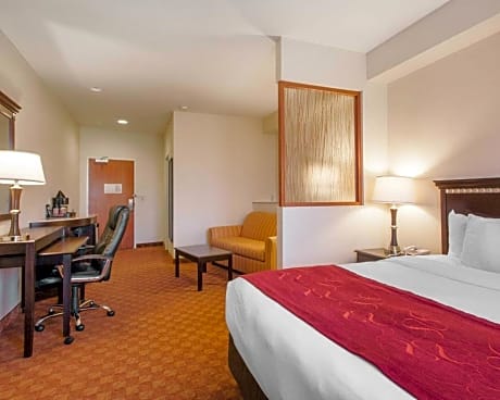 1 Bedroom King Suite