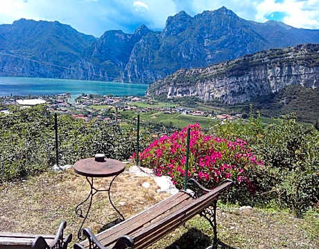 Garden Belvedere B&B