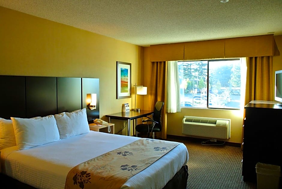 Best Western Seattle Airport Hotel