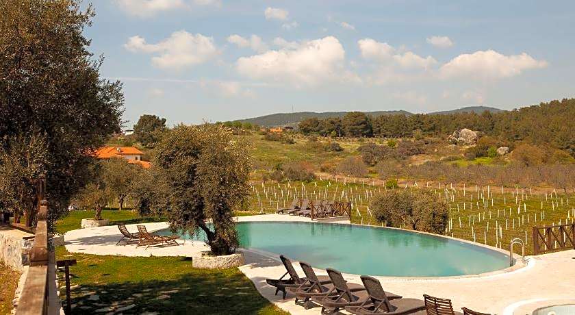 Vinifera Hotel Yedibilgeler Vineyards