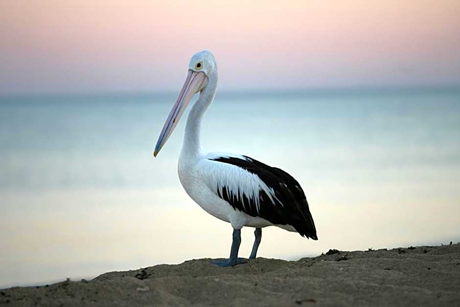 Mackerel Islands Resort