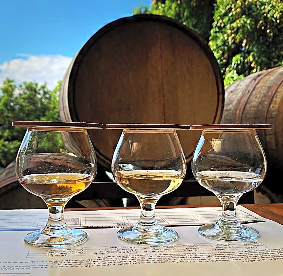 Matices Hotel de Barricas