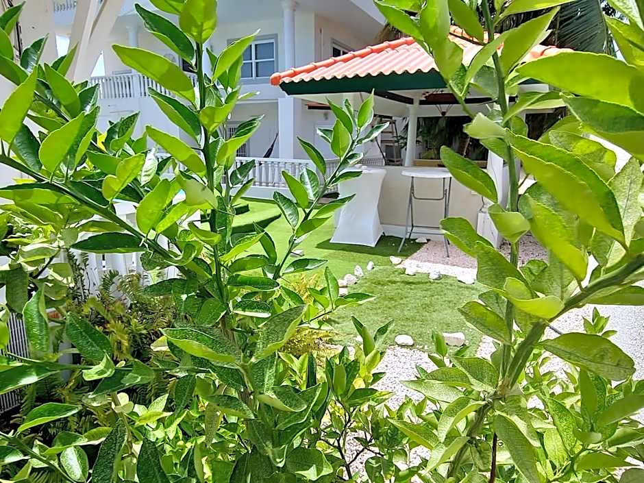 Adonai Hotel Boutique