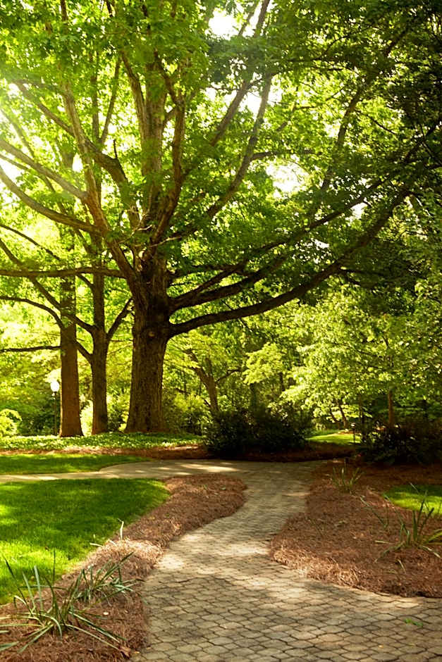 Emory Conference Center Hotel