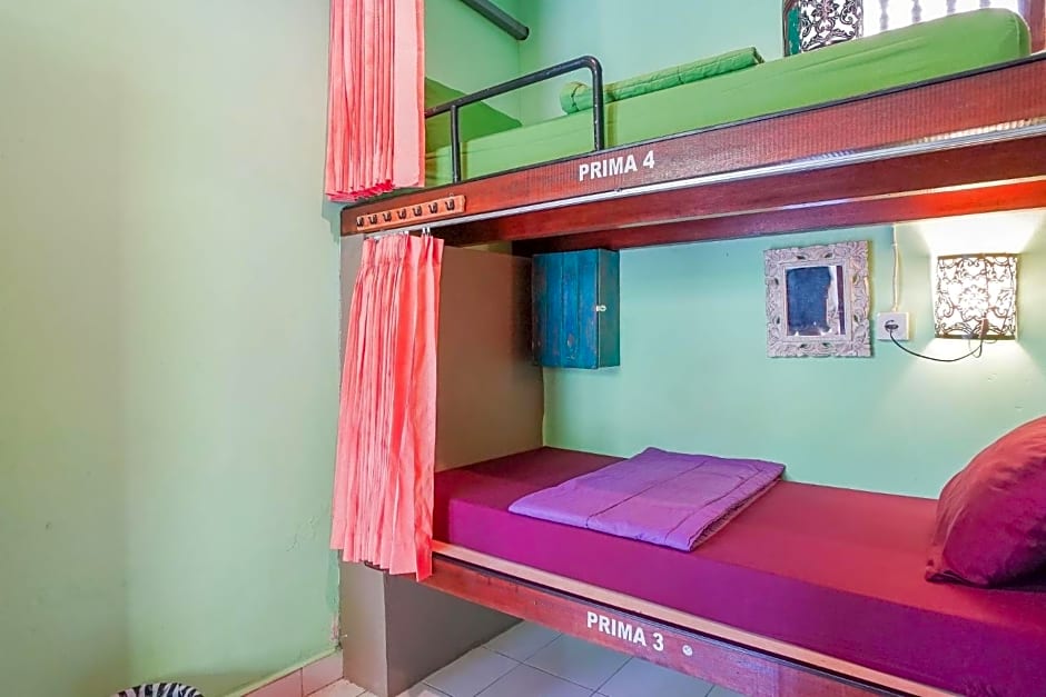 Padi-Padi Hostel & Bar