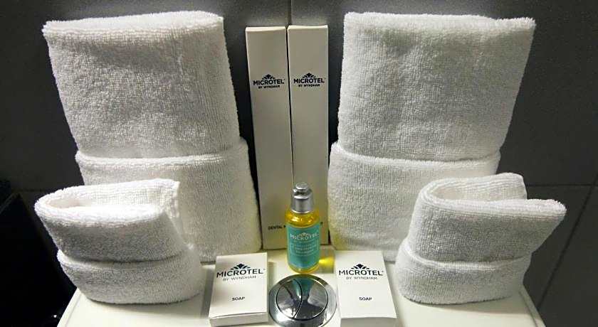 Microtel by Wyndham UP Technohub