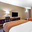 Comfort Inn Biltmore West