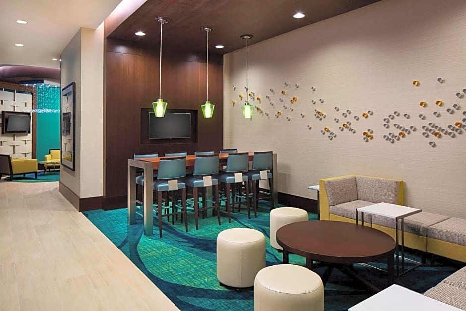 SpringHill Suites by Marriott Houston Downtown/Convention Center