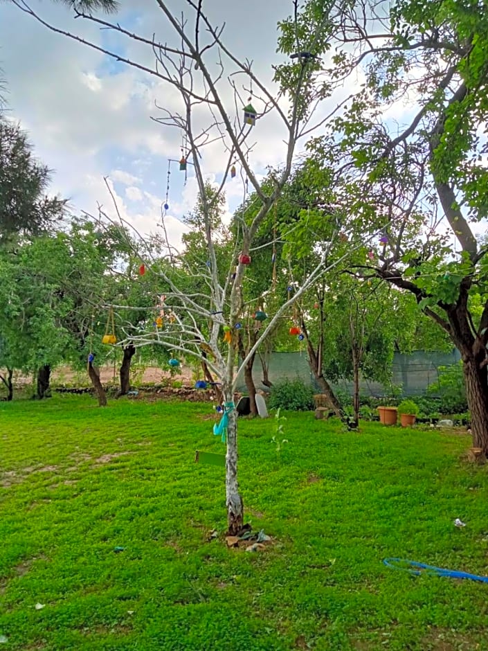 Koca Kapı Konaklama