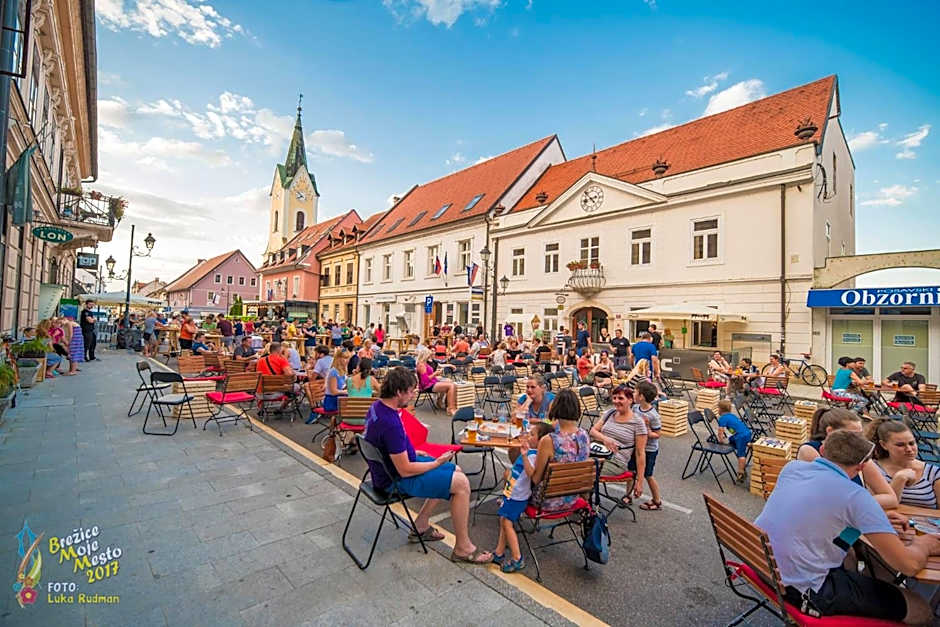 Hotel Cateski Dvorec