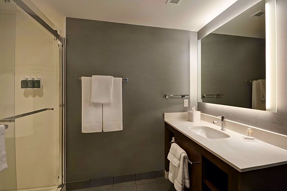 Residence Inn by Marriott New Orleans French Quarter Area/Cen B