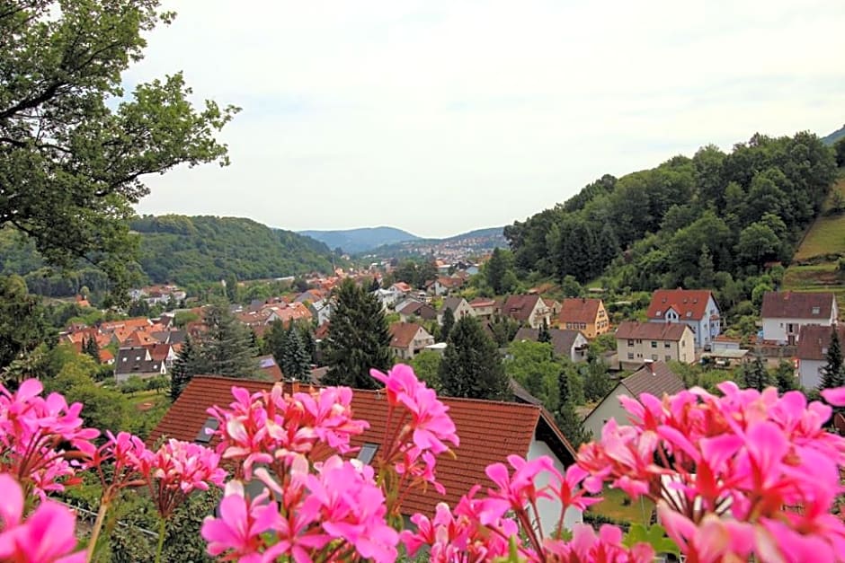 Pension Bergterrasse