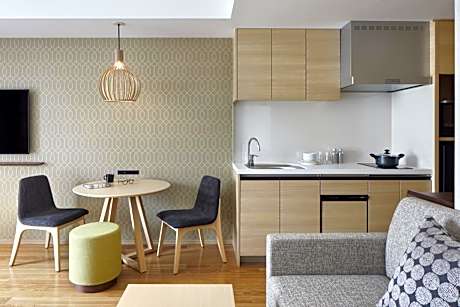 Studio with Sofa Bed and Kitchen