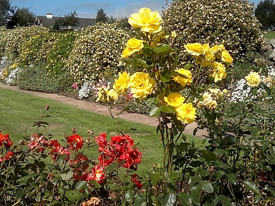 Villa Pio Accommodation Cong