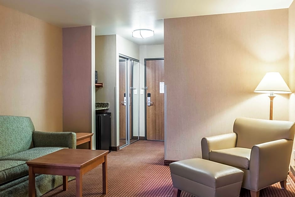 Comfort Inn & Suites Mitchell I-90