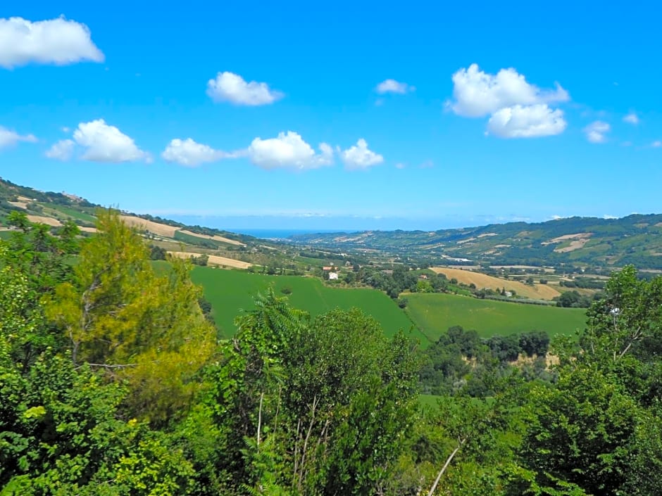 Il Piccolo Carro – Monterubbiano, MO
