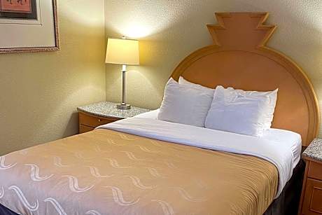 1 Queen Bed Deluxe Room Non-Smoking