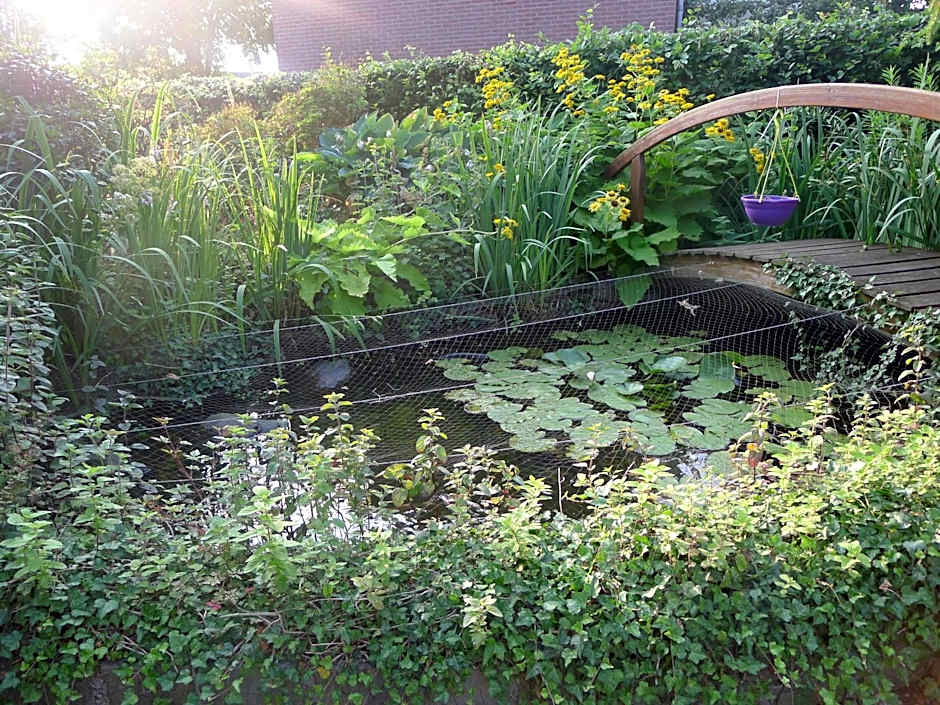 B&B De Kleine Wijngaard