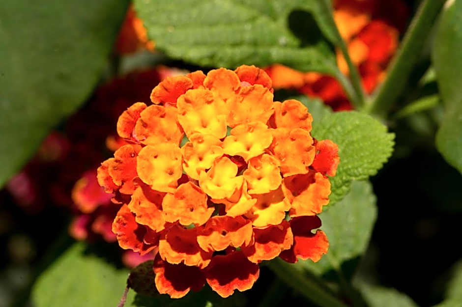 Hôtel A casa di Maria Cicilia