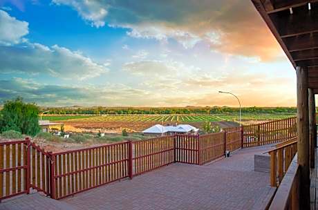 Kalahari Lion's Rest