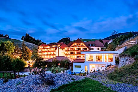 Wellnesshotel Ludinmühle
