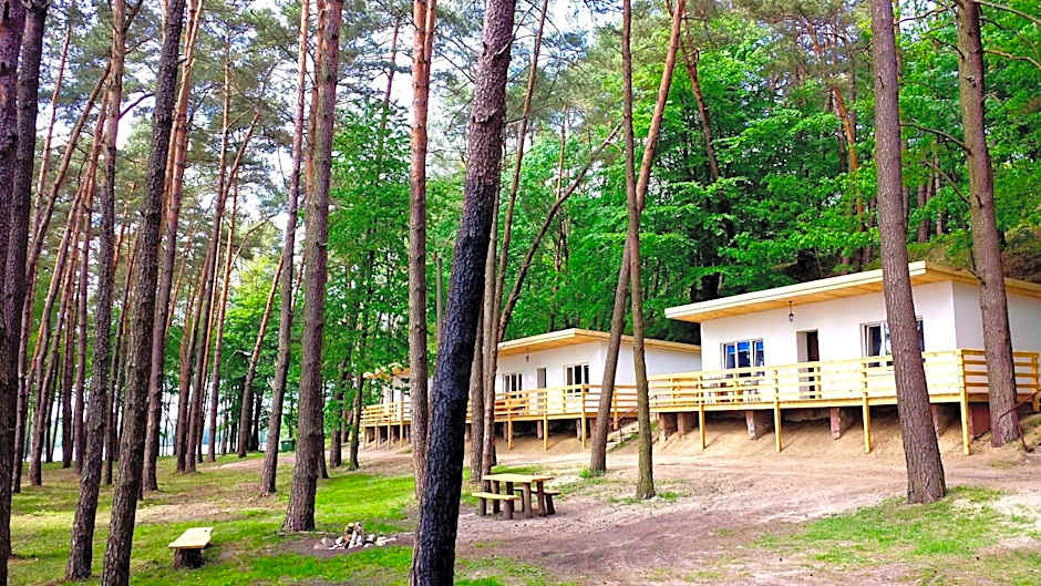 Jeleń