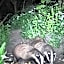 Badger Bar