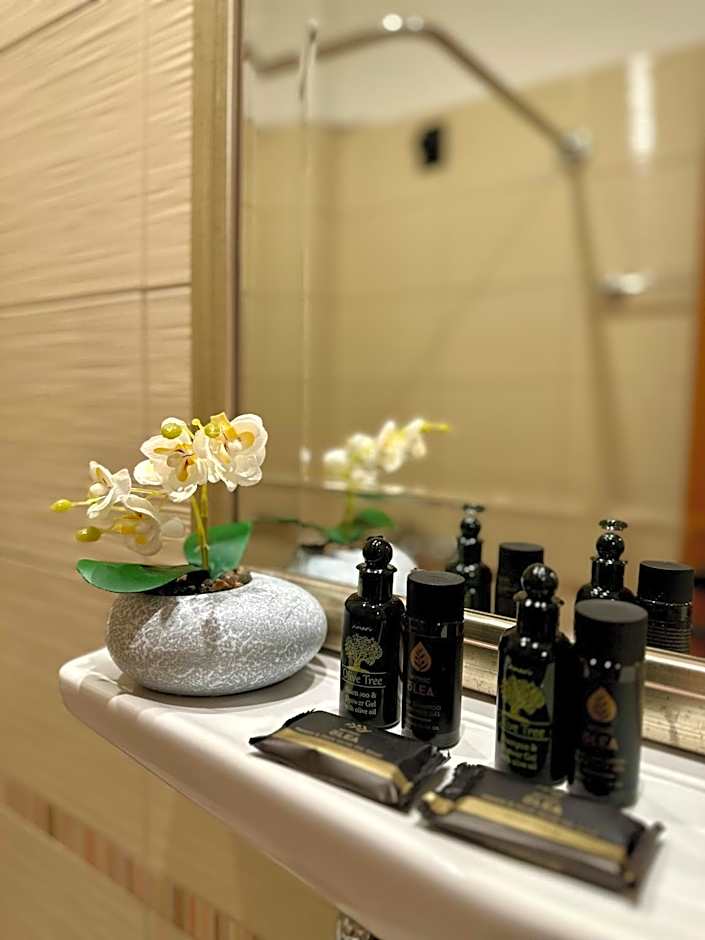 Acropole Delphi City Hotel