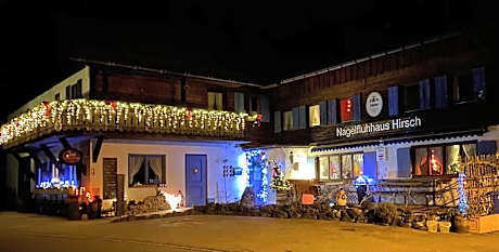 Nagelfluhhaus Hirsch