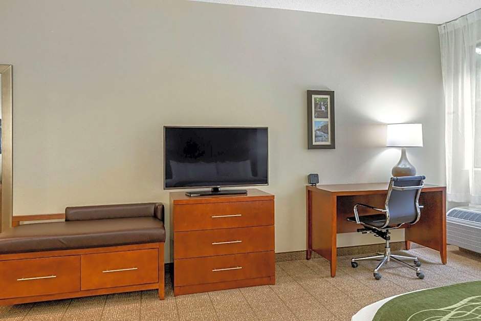 Comfort Inn & Suites Lenoir Hwy 321 Northern Foothills