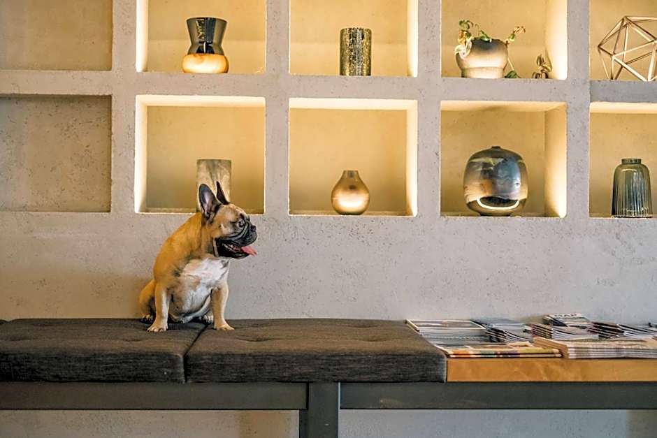 the DOUGLAS, Autograph Collection by Marriott