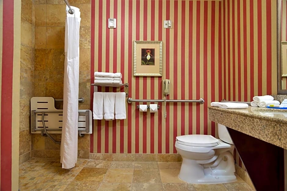 Holiday Inn Express Hotel & Suites DFW West - Hurst By IHG