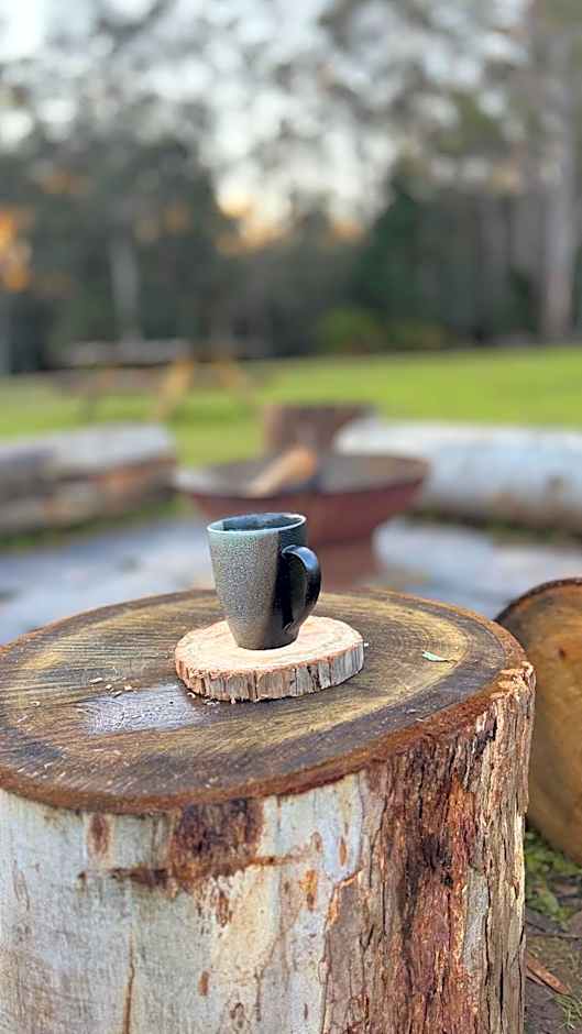 Cradle forest inn