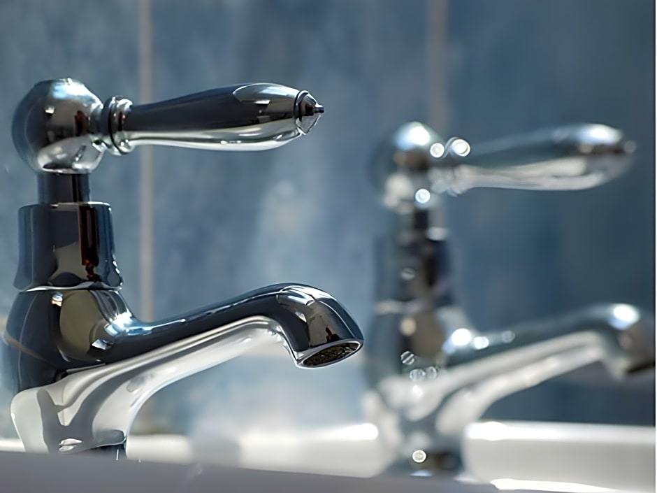 Bryn Goleu Bed and Breakfast