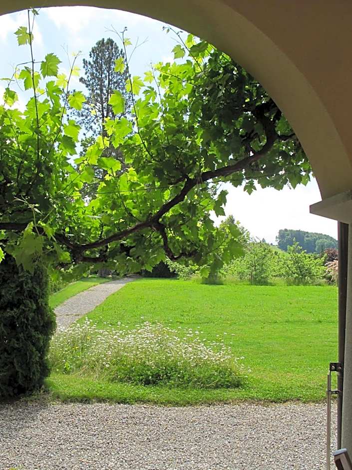 Burgbühl
