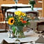 Hotel Auberge Hazemann