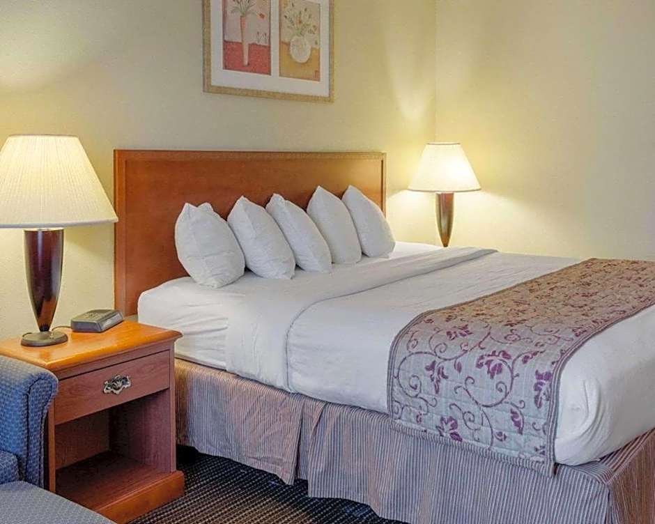 Rodeway Inn Greenville