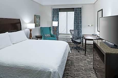 1Kng Dlx 1Bdrm Ste Mobility Access Bathtub