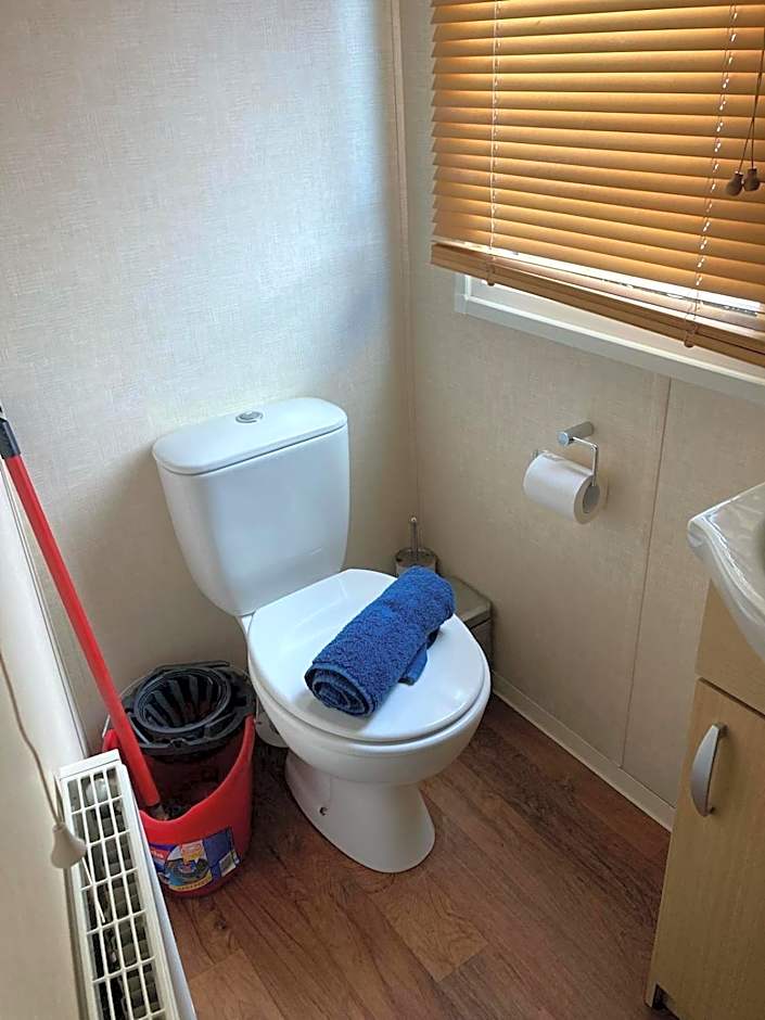 Hoburne park Bluebell10