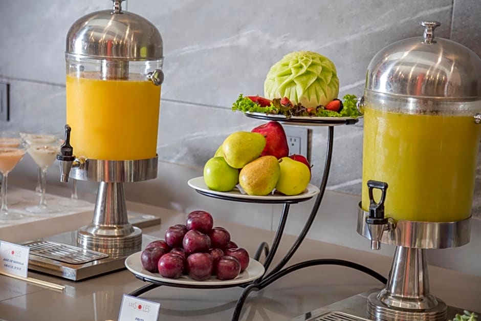 Holiday Inn & Suites - Aguascalientes, an IHG hotel