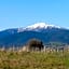 High Country Holiday Park