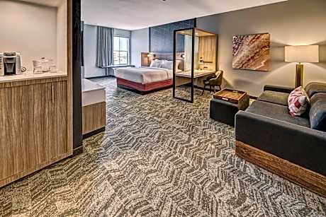 Suite, 1 King Bed