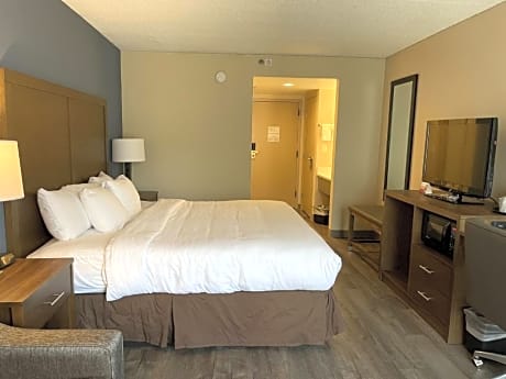1 King Bed, 1 Room Suite, Kitchen, Nonsmoking