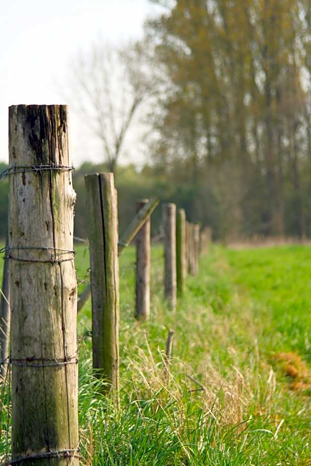 Alm Appartements ehemals Birkenhof