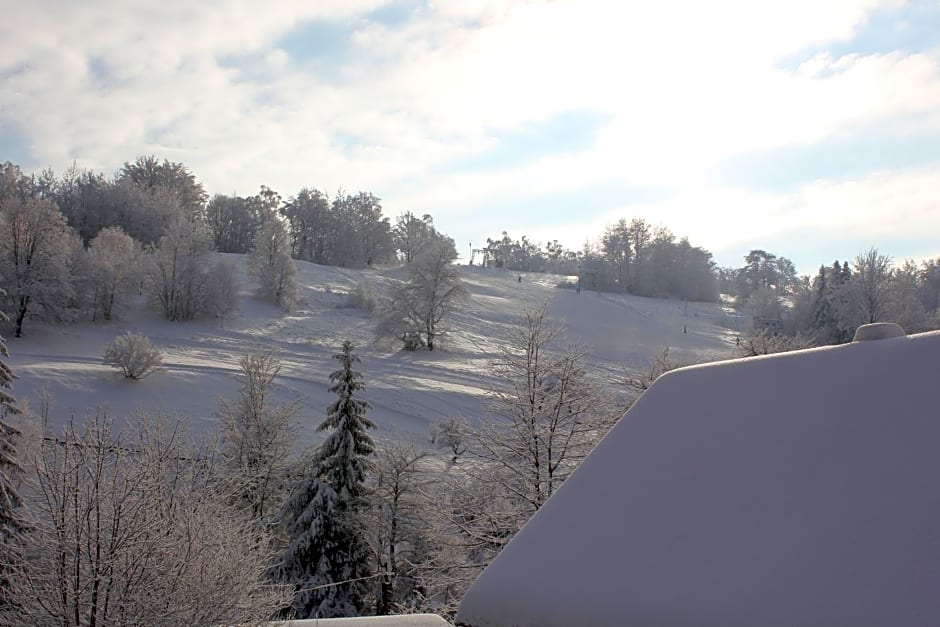 Hillton Jawornik – Wisla, IN